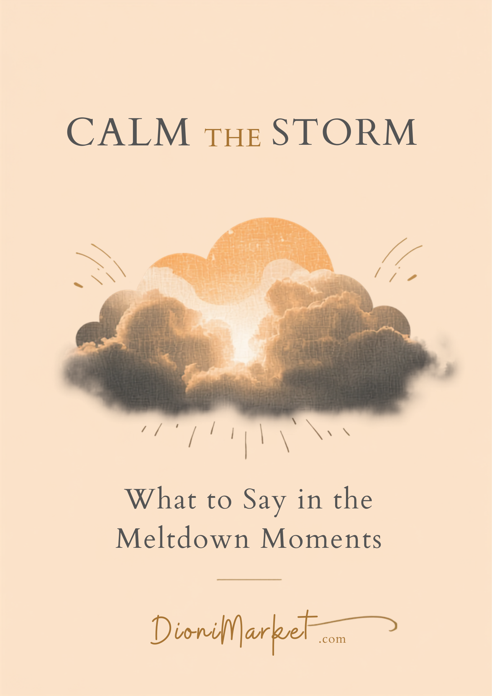 Calm the Storm cover