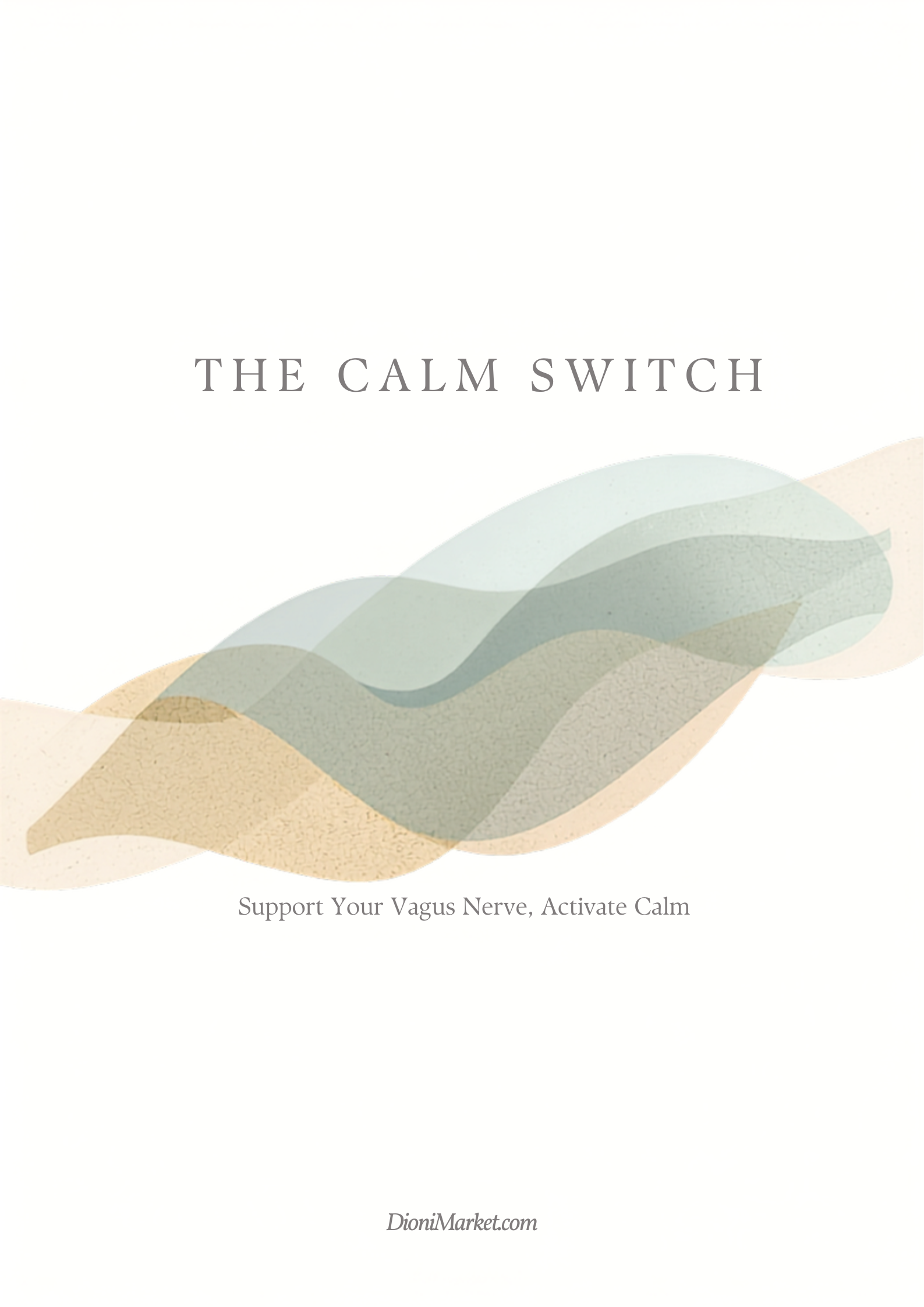 The Calm Switch cover