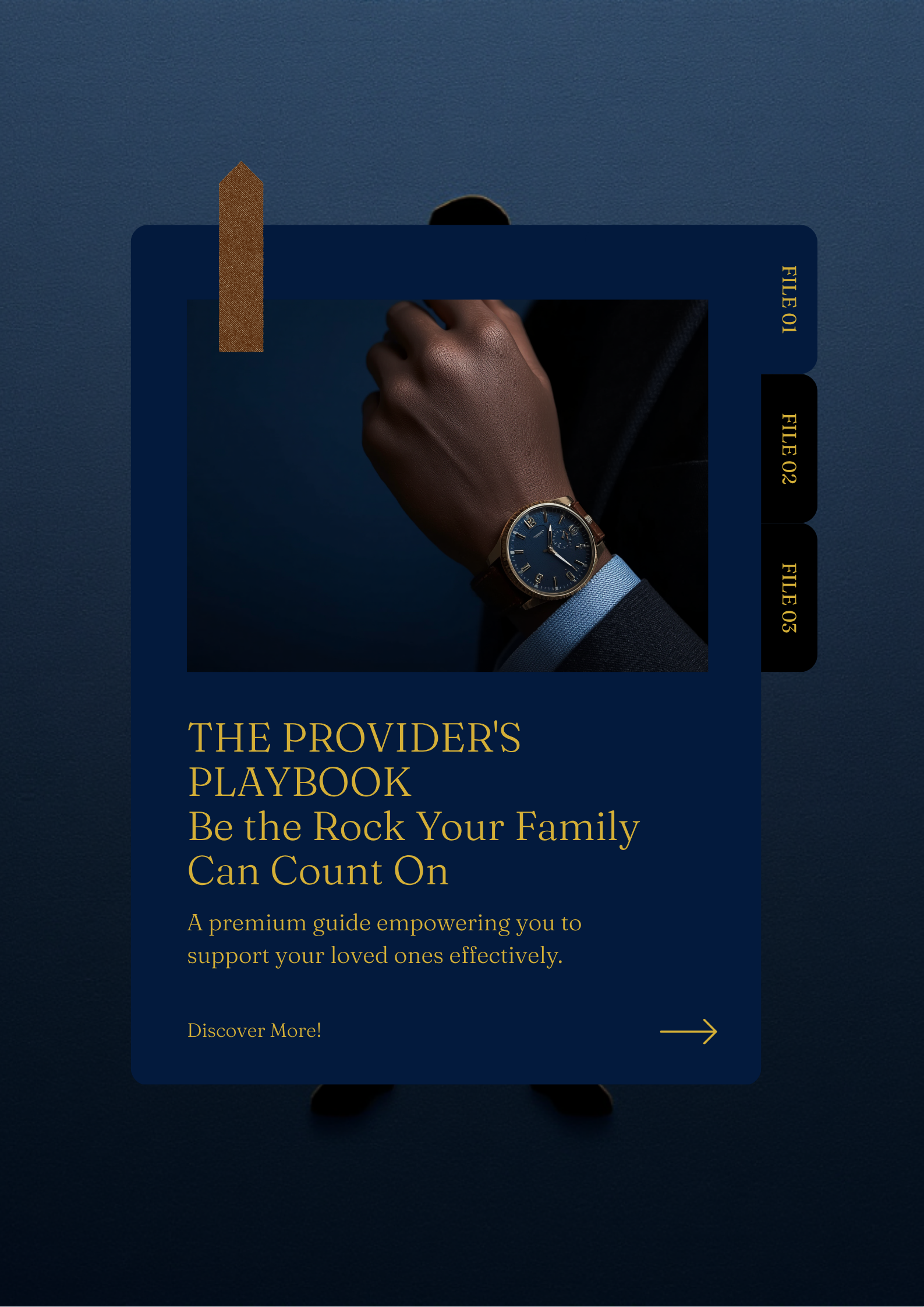 The Provider's Playbook - Dioni Market digital guide cover