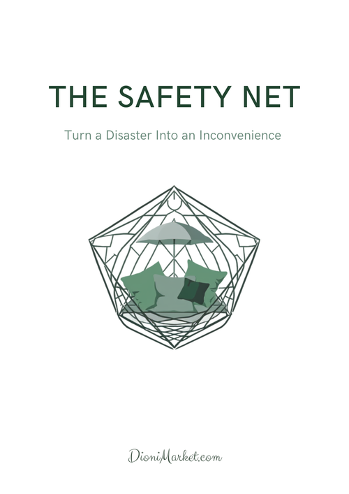 The Safety Net cover
