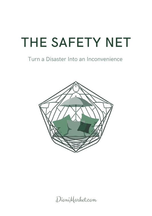 The Safety Net cover