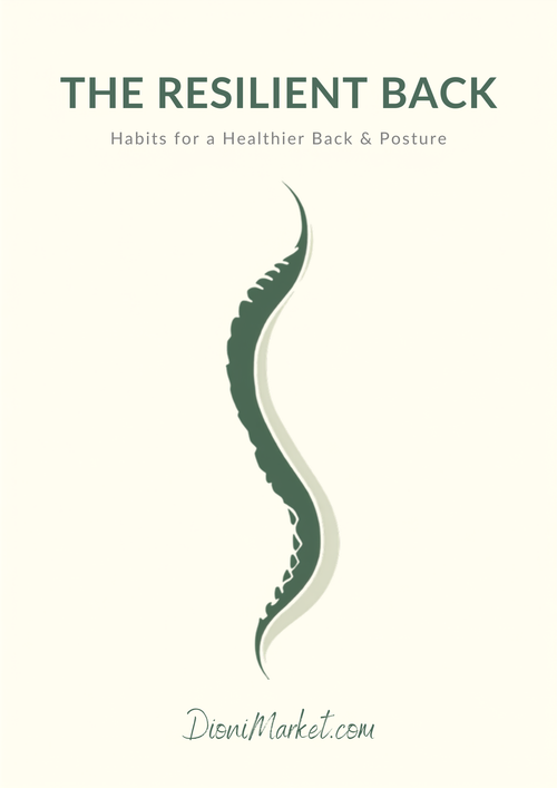 The Resilient Back cover